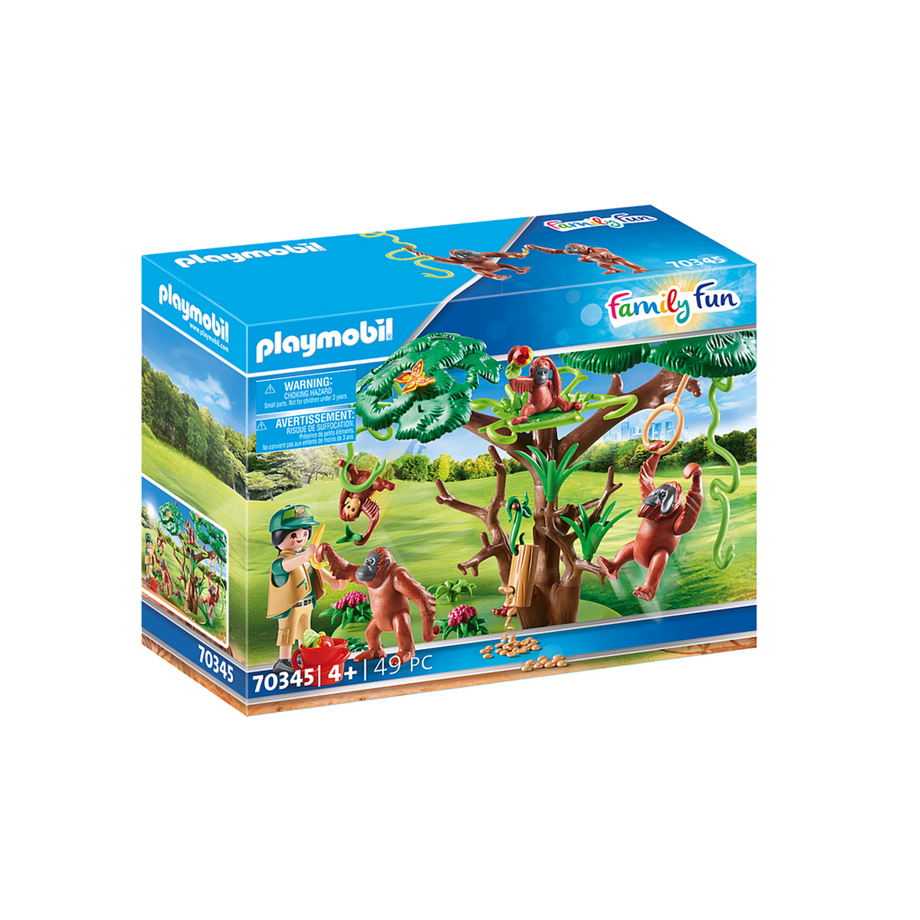 70345 Orangs outans  avec grand arbre