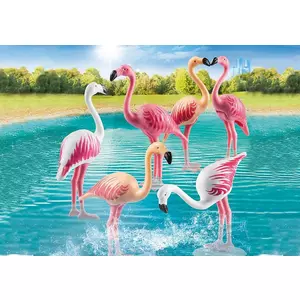 70351 Flamingoschwarm