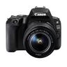 Canon EOS 2000D EF-S 18-55 + SD Set: Spiegelreflexkamera mit Objektiv 