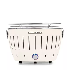 Barbecue au charbon small