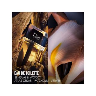 Dior Dior Homme Eau de Toilette 