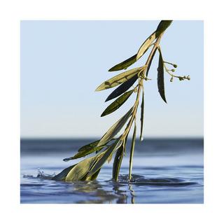 HUGO BOSS Bottled Infinite, Eau De Parfum  