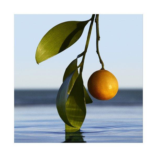 HUGO BOSS Bottled Infinite, Eau De Parfum  