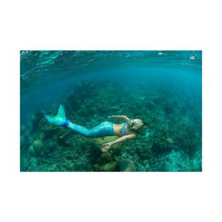 Fin Fun  Sirène Mermaidens Originals Aussie Green Adult 