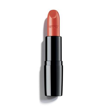 Perfect Color Lipstick - 868