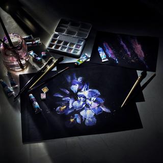 Talens Album da disegno Van Gogh 