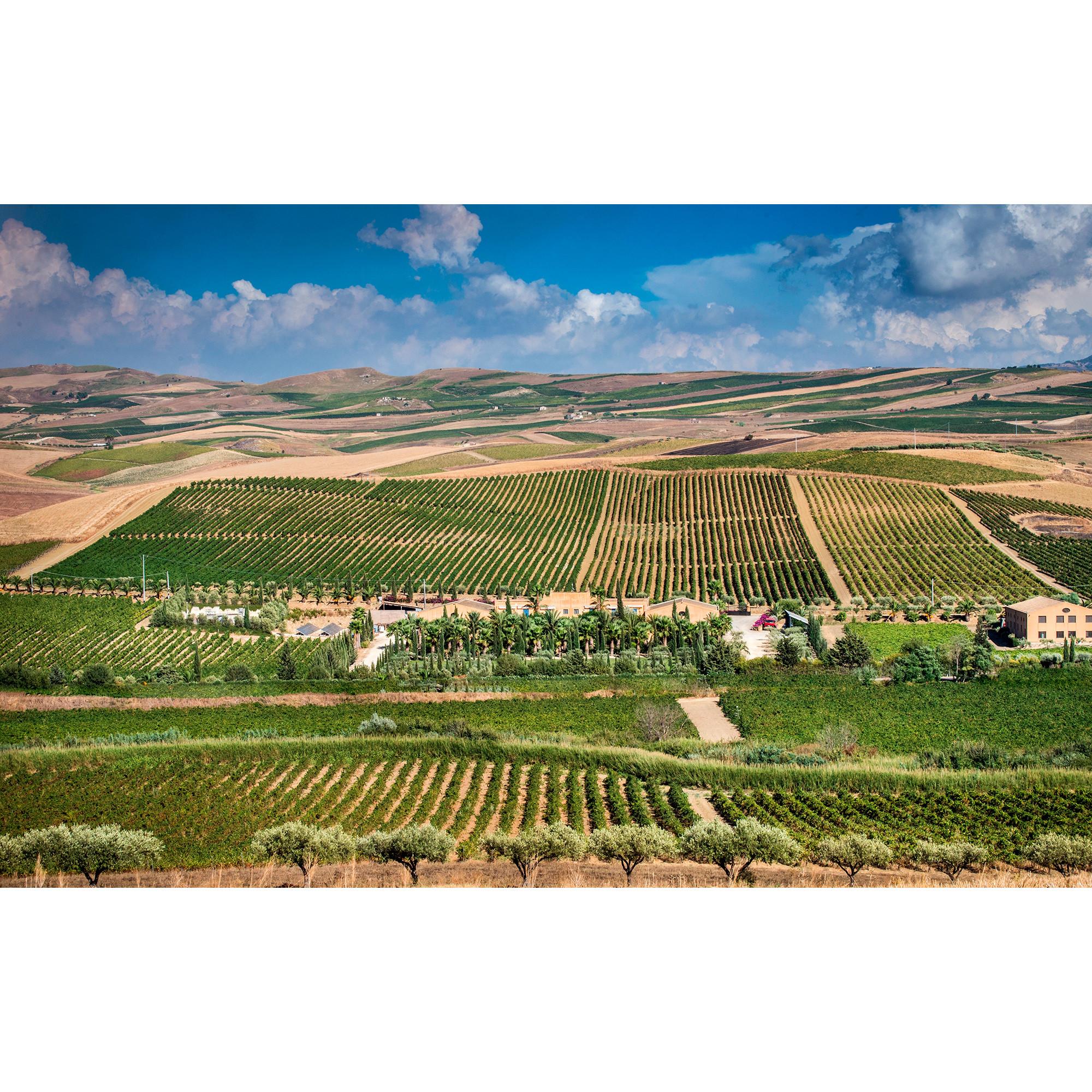 Donnafugata 2024, Lumera, Sicilia DOP  