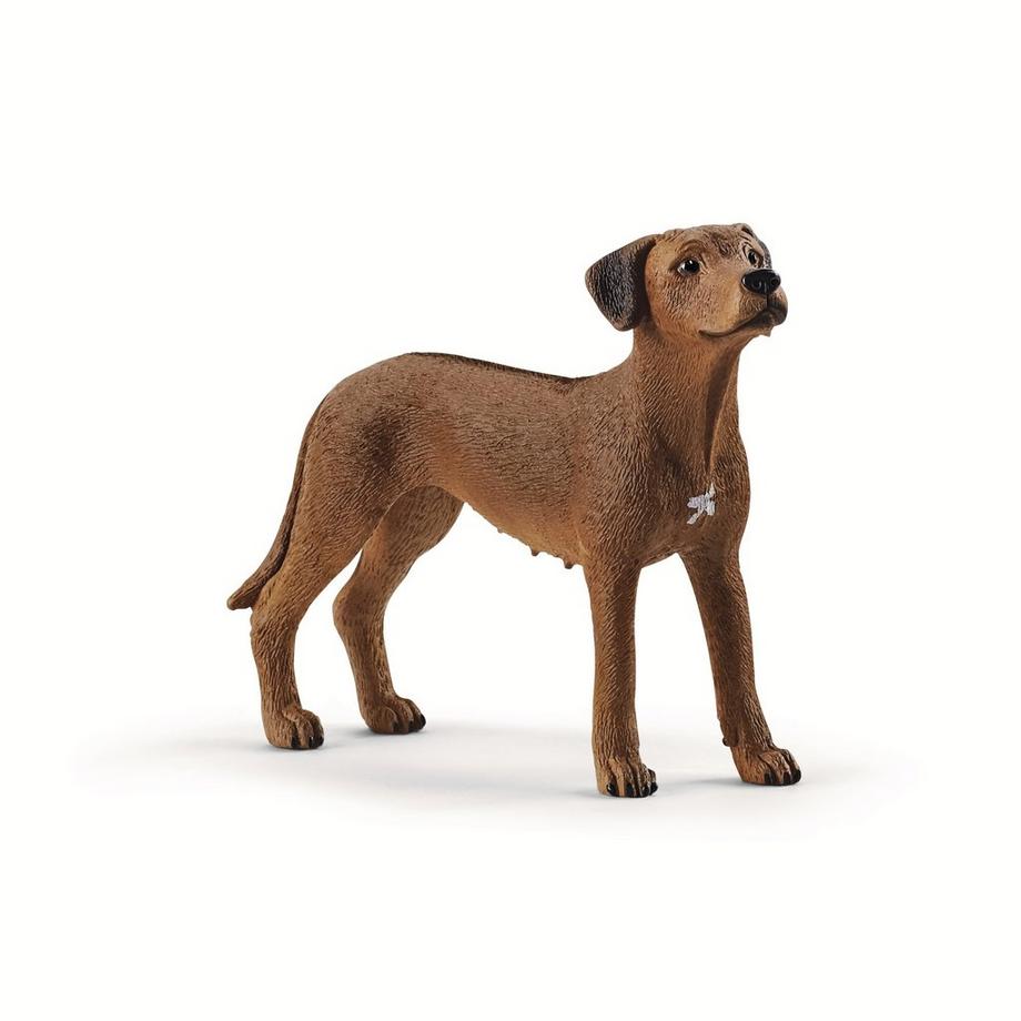 Schleich  13895 Rhodesian Ridgeback 