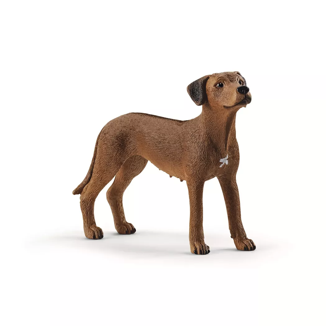 Schleich - 13895 Rhodesian Ridgeback, Multicolor