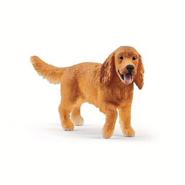 13896 Cocker Spaniel Anglais