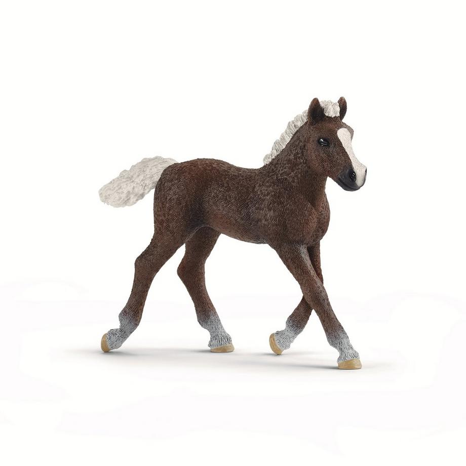 Schleich  13899 Schwarzwälder Fohlen 