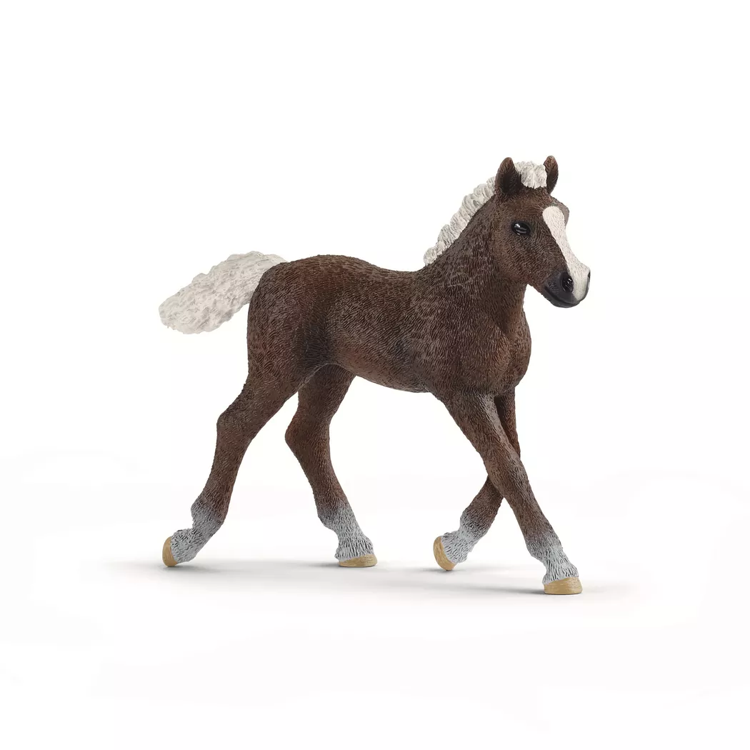 Schleich - 13899 Schwarzwälder Fohlen, Multicolor