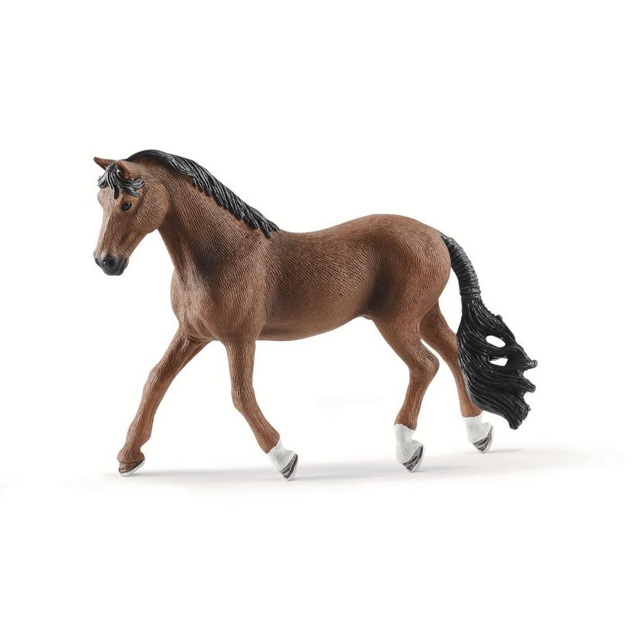 13909 Trakehner hongre