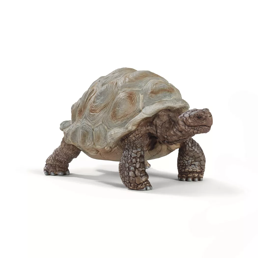 Schleich - 14824 Riesenschildkröte, Multicolor