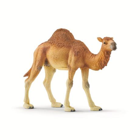 Schleich  14832 Dromedario 