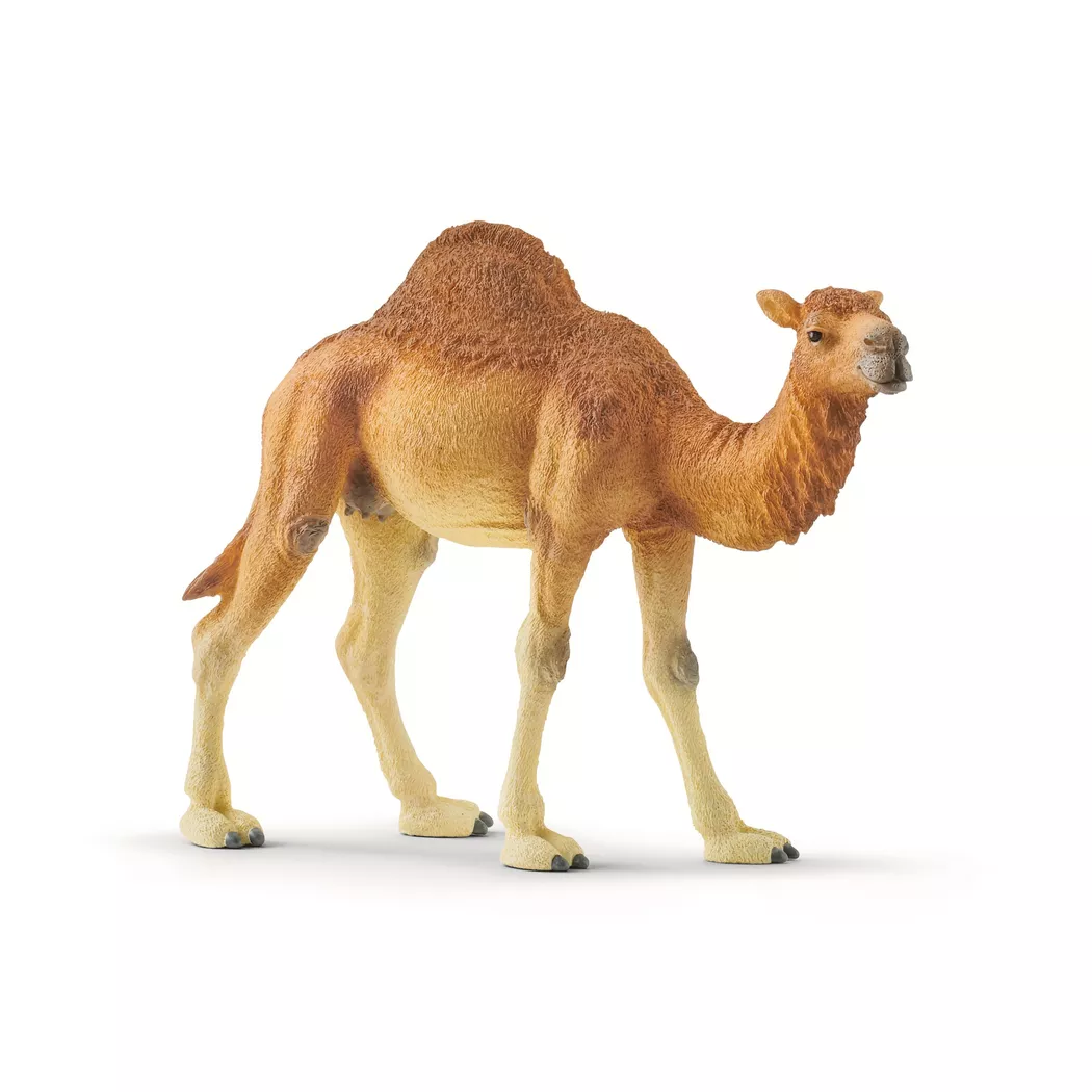 Schleich - 14832 Dromedar, Multicolor