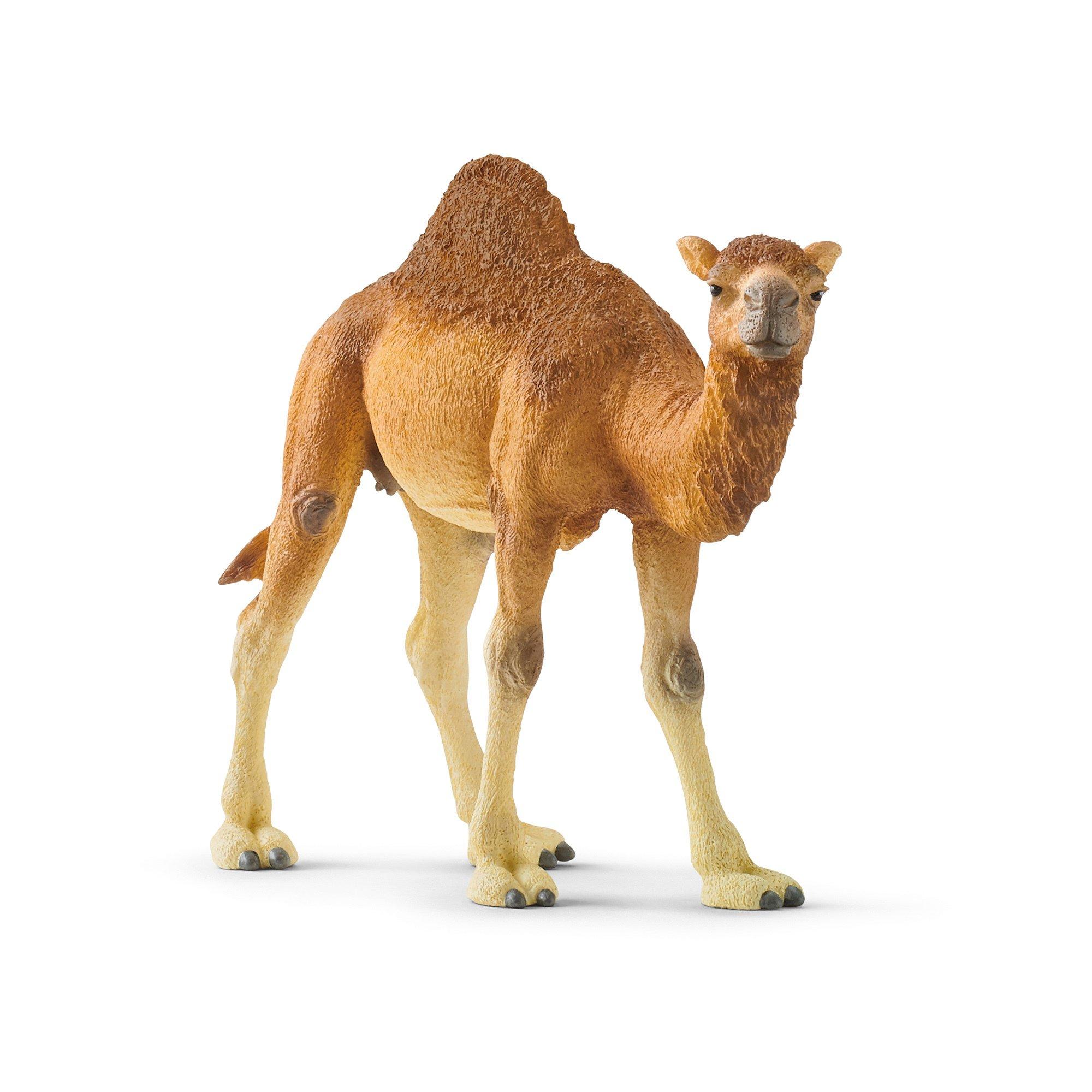 Schleich  14832 Dromedario 