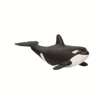 14836 Cucciolo di orca