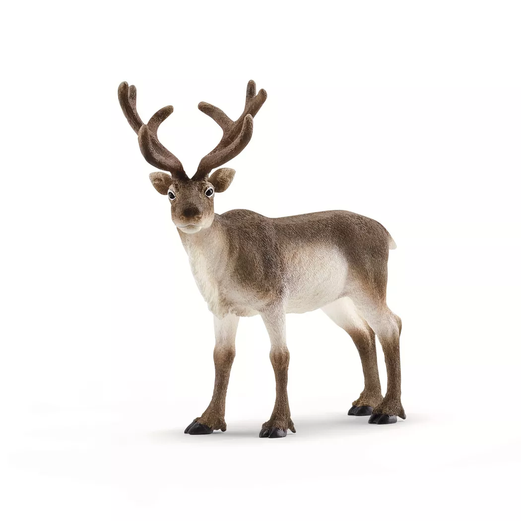 Schleich - 14837 Rentier, Multicolor