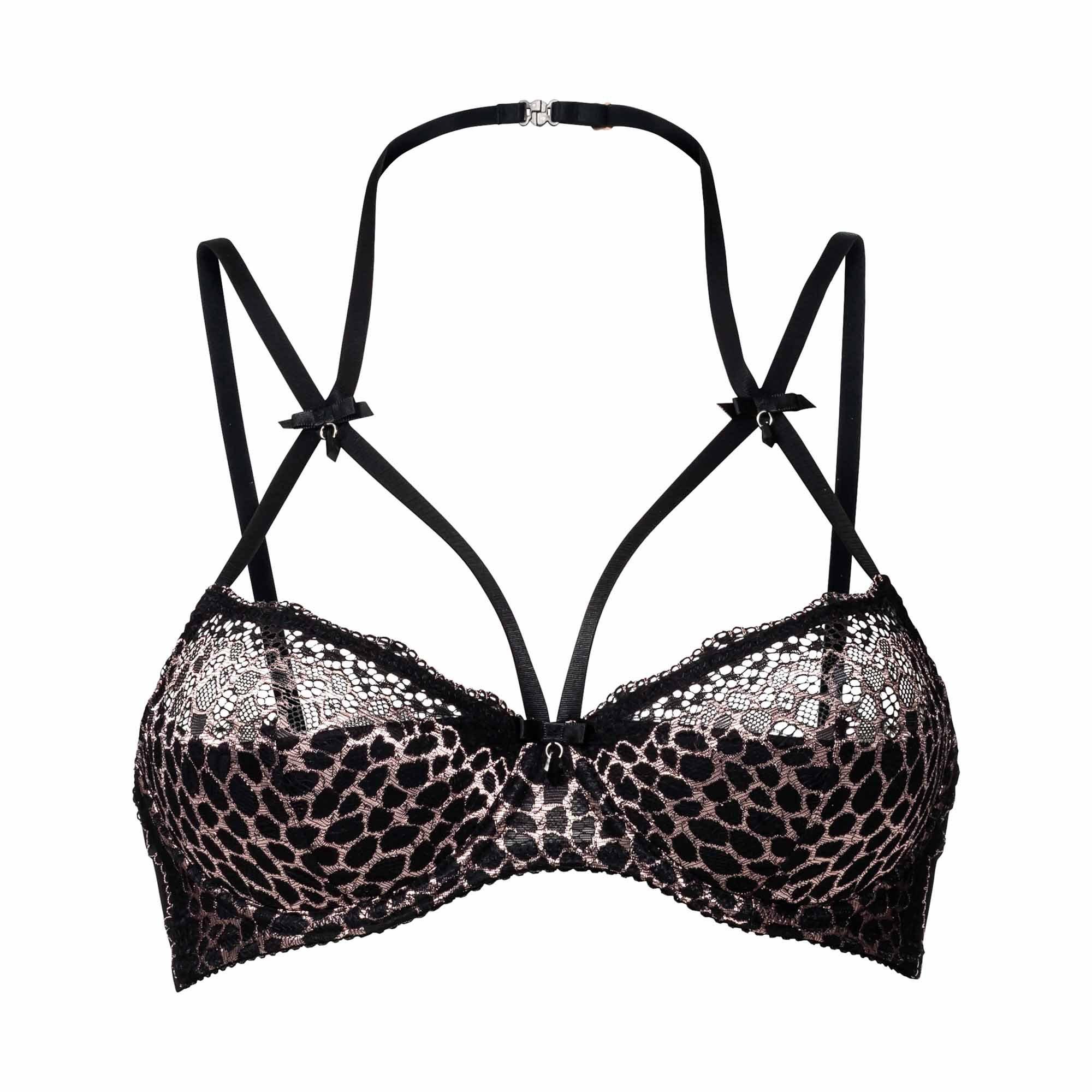 Image of Bügelloser Bh, Wattiert Damen Schwarz C/75