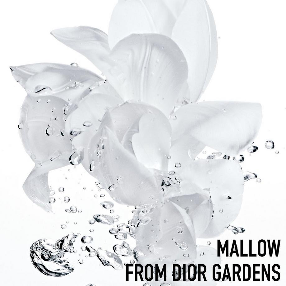 Dior HYDRA LIFE DIOR Hydra L. Sorbet Emul 50ml 