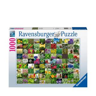 Ravensburger  Puzzle 99 erbe e spezie, 1000 Pezzi 