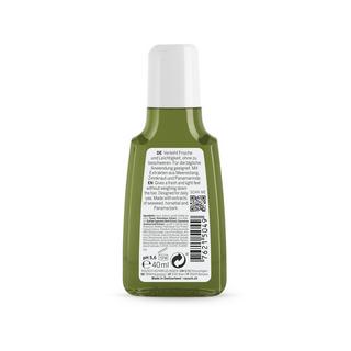 RAUSCH Meerestang Shampooing Anti-Gras Au Varech Vésiculeux 