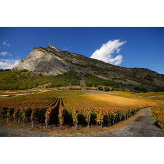Domaine Rouvinez 2024, Nez Noir Rosé - Bio en reconversion, Valais AOC  