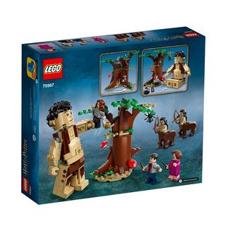 LEGO®  75967 Der Verbotene Wald: Begegnung mit Umbridge  