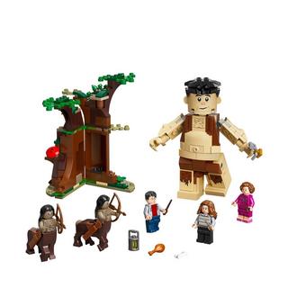LEGO  75967 Der Verbotene Wald: Begegnung mit Umbridge  