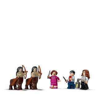 LEGO  75967 Der Verbotene Wald: Begegnung mit Umbridge  
