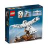 LEGO  75979 Hedwige 