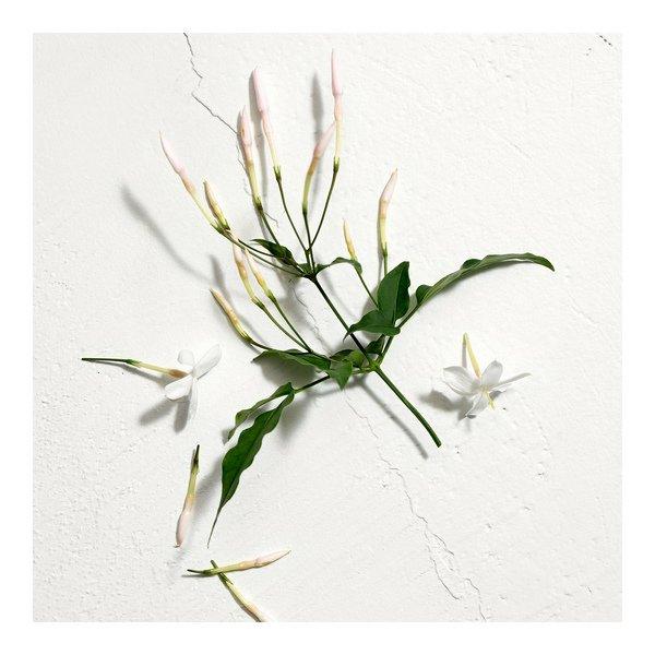 JIL SANDER Sun Eau de Parfum Natural Spray Vaporisateur  