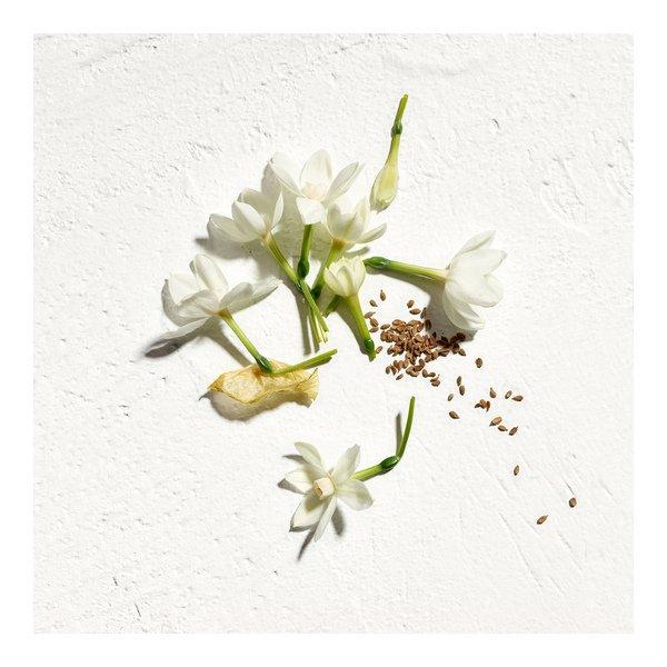 JIL SANDER Sun Eau de Parfum Natural Spray Vaporisateur  