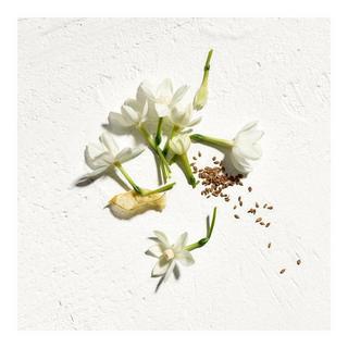 JIL SANDER Sun Eau de Parfum Natural Spray Vaporisateur  