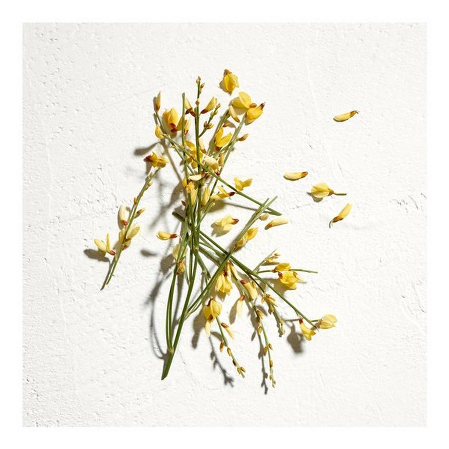 JIL SANDER Sun Eau de Parfum Natural Spray Vaporisateur  