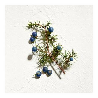 JIL SANDER Sun Eau de Parfum Men  