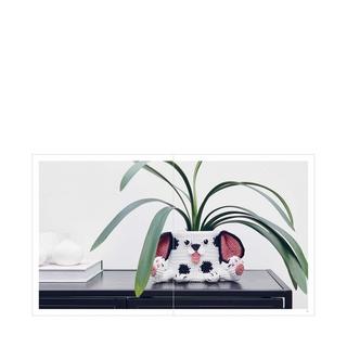 RICO-Design Laine artisanale Creative Cotton Aran 