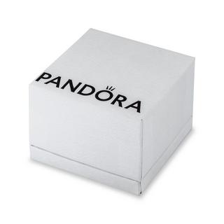 PANDORA Moments Charm 