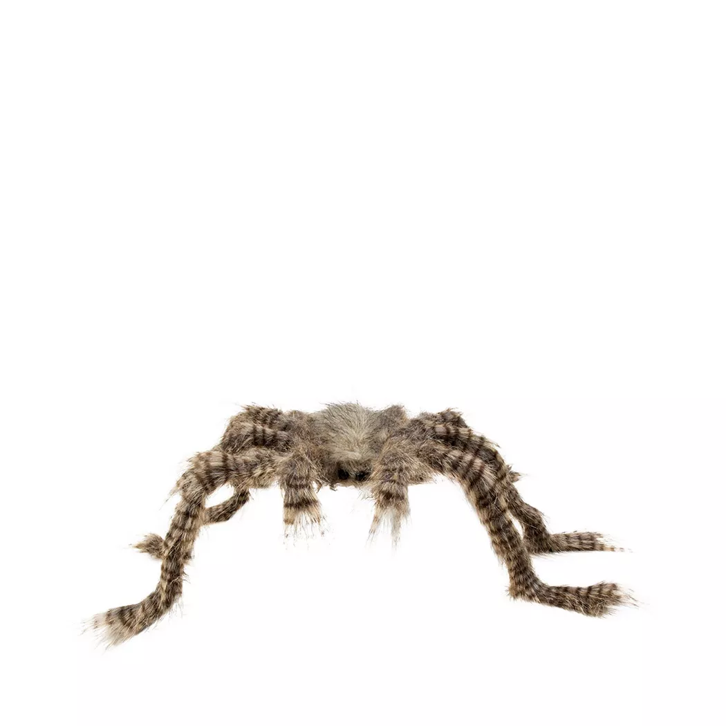 Boland - Harige Spinne, Zufallsauswahl, 50 x 70 cm, Braun