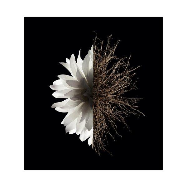 GIVENCHY L'Interdit, Eau de Parfum  