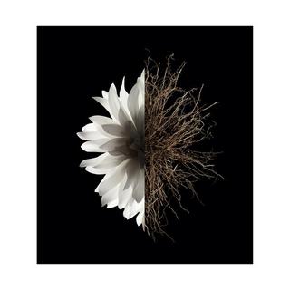 GIVENCHY L'Interdit, Eau de Parfum  