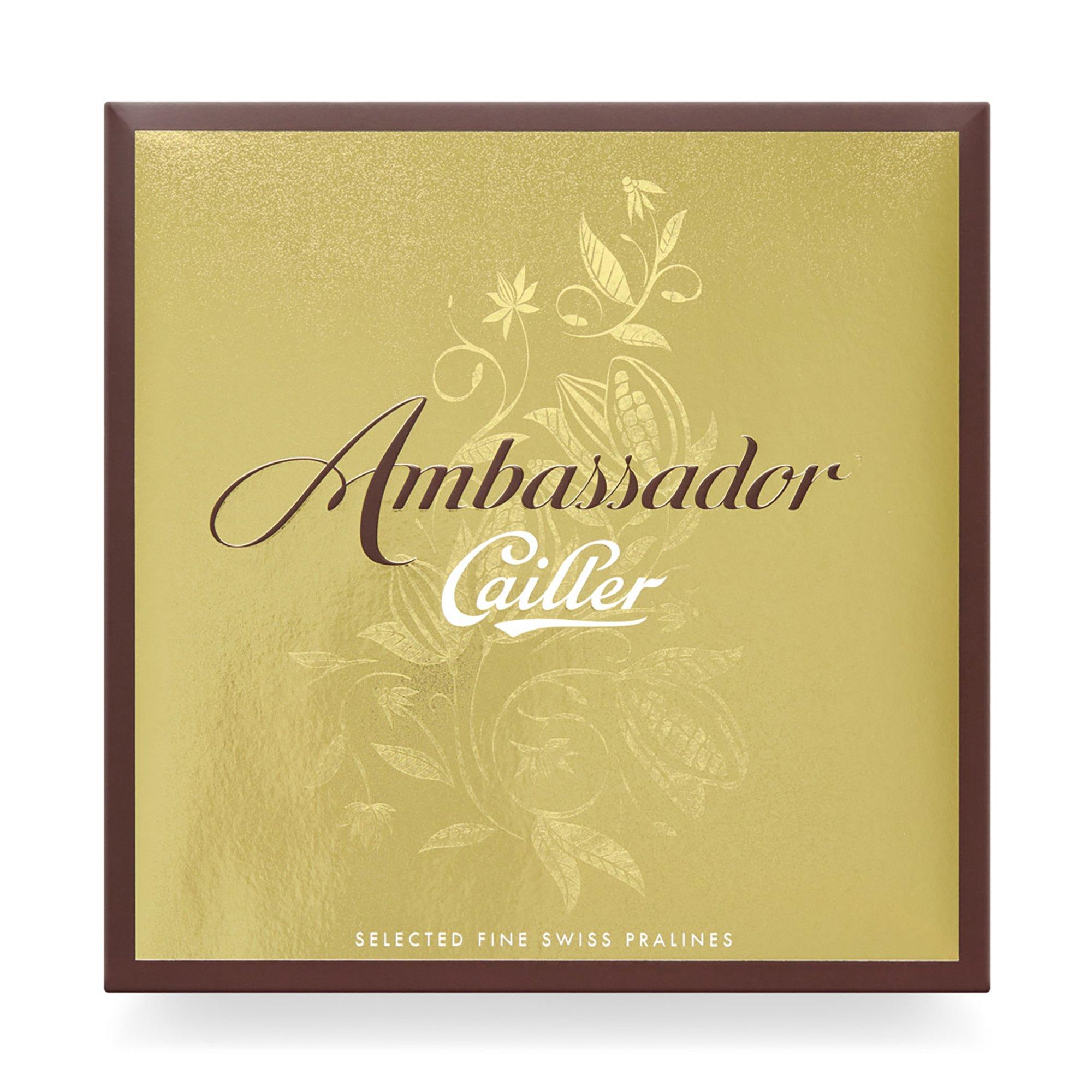 Image of Ambassador Unisex 298 g