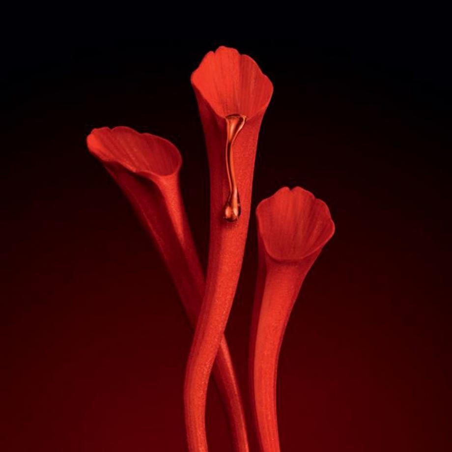 YSL Or Rouge YSL Or Rouge Huile 