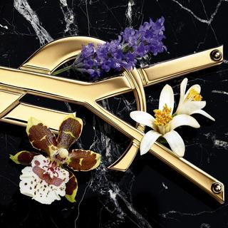 YSL Libre Eau de Parfum Intense  