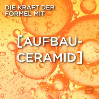 L'Oréal Paris Anti casse Anti-Haarbruch : Reparierende Pflegespülung 