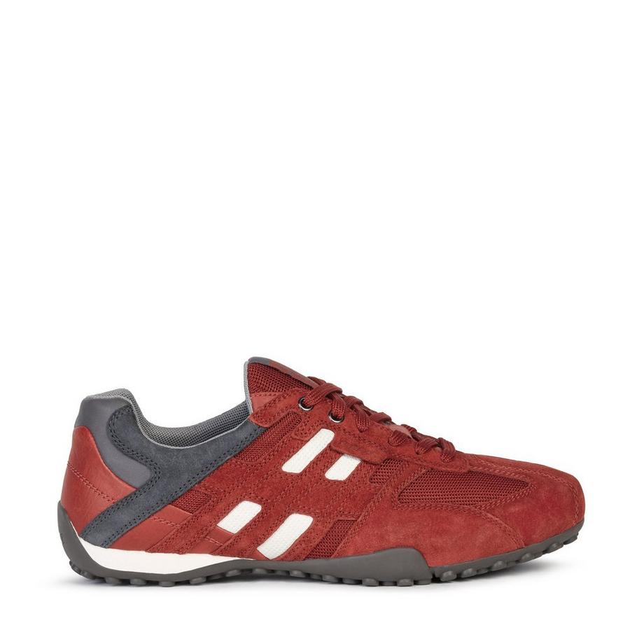 GEOX Uomo Snake Baskets 