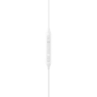 SAMSUNG EO-IC100 (USB-C) In-Ear 