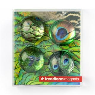 trendform Magnete Set Pfau 