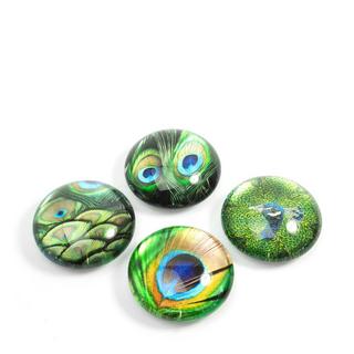 trendform Magnete Set Pfau 